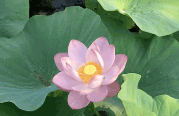 水處理設備的系統(tǒng)處理工藝流程
